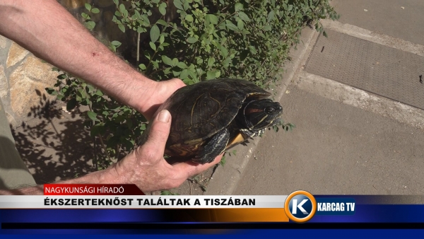 ÉKSZERTEKNŐST TALÁLTAK A TISZÁBAN