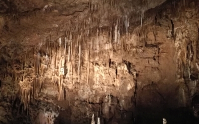 Rendkívüli fejlesztés valósult meg az Aggteleki Nemzeti Parkban