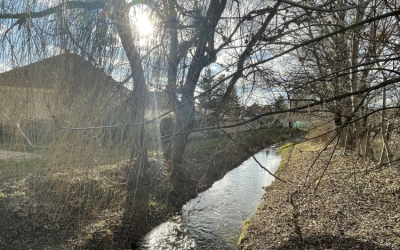 Változékony, időnként szeles, enyhe idő lesz a jövő héten