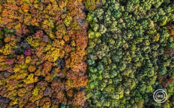 Folytatódik a nyugodt őszi idő a hétvégén is