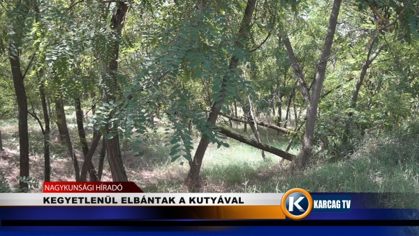 KEGYETLENÜL ELBÁNTAK A KUTYÁVAL