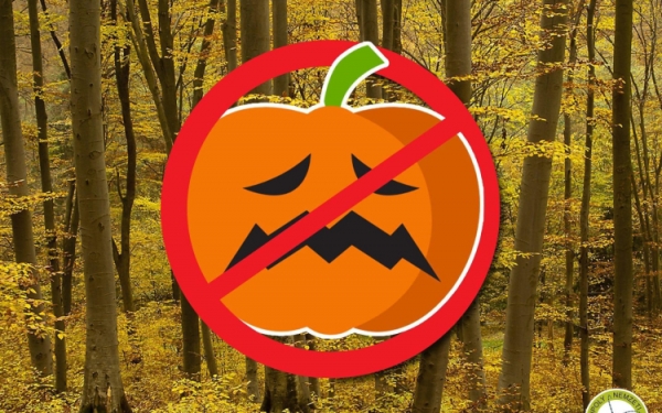 A halloweeni tök nem való a természetbe!