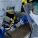 Jövő héten érkezhet az orosz vakcinaminta Magyarországra