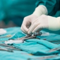 Tavaly 320 szervátültetést végeztek Magyarországon