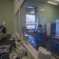 Meghalt két beteg, 82 új fertőzöttet találtak Magyarországon