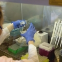Meghalt egy beteg, 247 új fertőzöttet találtak Magyarországon