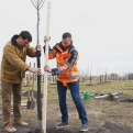 Áder: fák ültetésével ellensúlyozható a környezeti lábnyom