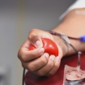 Véradásra és plazmaadásra kér a vérellátó szolgálat