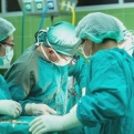 Tavaly 307 szervátültetés történt Magyarországon