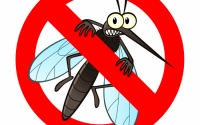 Katasztrófavédelem: 85 ezer hektáron irtják a héten a szúnyogokat