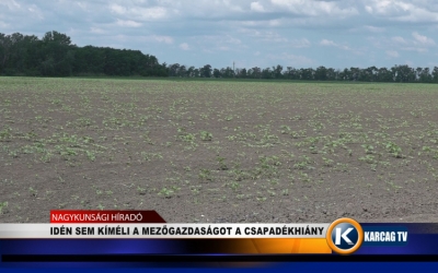 IDÉN SEM KÍMÉLI A MEZŐGAZDASÁGOT A CSAPADÉKHIÁNY