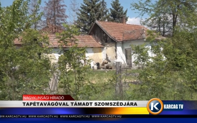 TAPÉTAVÁGÓVAL TÁMADT SZOMSZÉDJÁRA