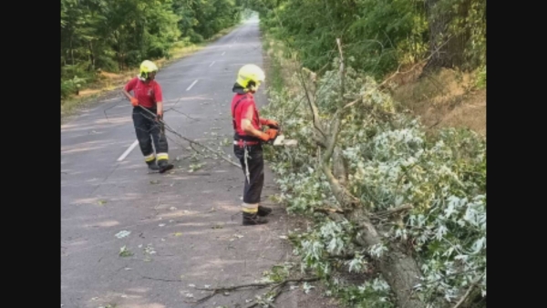 Kisebb beavatkozások a tegnapi vihar után